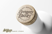Angler//Modern Script Font, a Script Font by HanzelSpace Studio (Thumbnail 3 of 10)