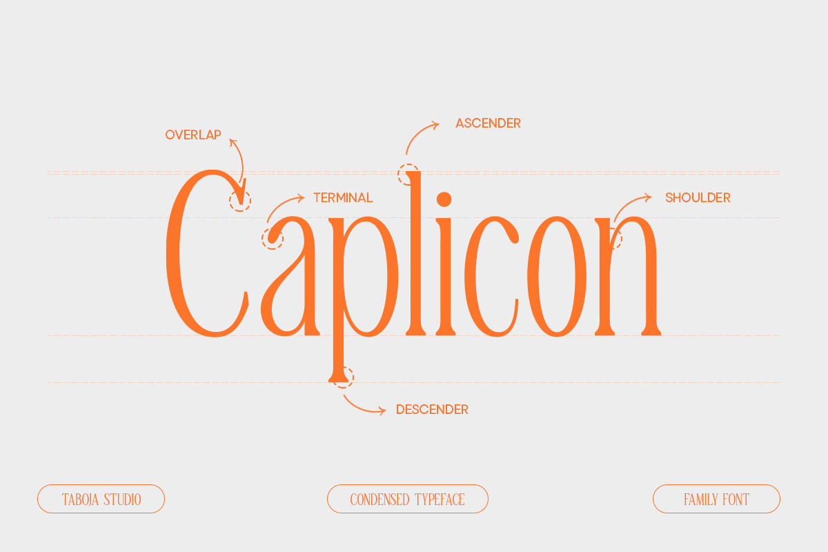 TBJ Malta 9-Font Family, a Serif Font by Taboja Studio (Photo 6 of 16)