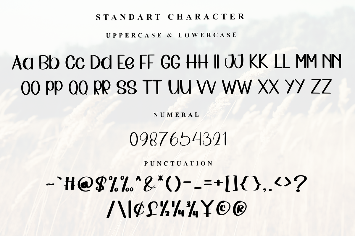 Bundle, a Sans Serif Font by InermediaSTUDIO (Photo 2 of 7)