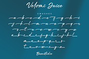 Velomi Juice– Elegant Handwritten, a Handwritten Font by Basnistudio (Thumbnail 11 of 13)