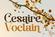 Baginks Birkin Serif, a Serif Font by Creatype Studio (Thumbnail 5 of 10)