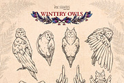 Wintery Owls, an Animal Illustration by Ink Stories (Thumbnail 5 of 26)
