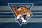 Tiger sport logotype., a Branding & Logo Template by Mister Chek (Thumbnail 3 of 3)