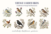 Vintage Garden Birds Illustrations, a Decorative Illustration by youtoview (Thumbnail 9 of 17)
