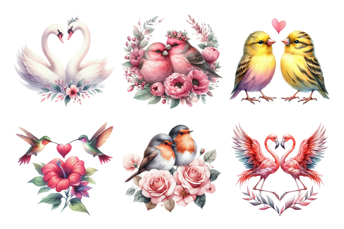Watercolor Couple Bird Clipart Bundl, an Illustration by Daily.Designs (Photo 3 of 5)