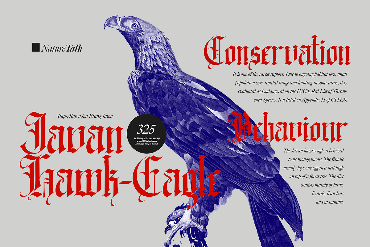 The Old Witch Blackletter, a Blackletter Font by Vampstudio (Photo 2 of 13)