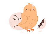 Chicken hatching from egg stages, an Animal Illustration by Good Studio (Thumbnail 4 of 6)