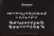 Brancifolia, a Script Font by ilhamtaro (Thumbnail 10 of 11)