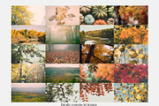 Film Inspired Autumn Backgrounds, a Background Photo by CreatingYOU.®, Lori Rice (Thumbnail 2 of 5)