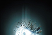 Light Runner Photoshop Action preview 5