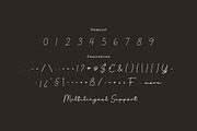 Lesarta - Script Monoline Font, a Script Font by twinstd (Thumbnail 5 of 7)