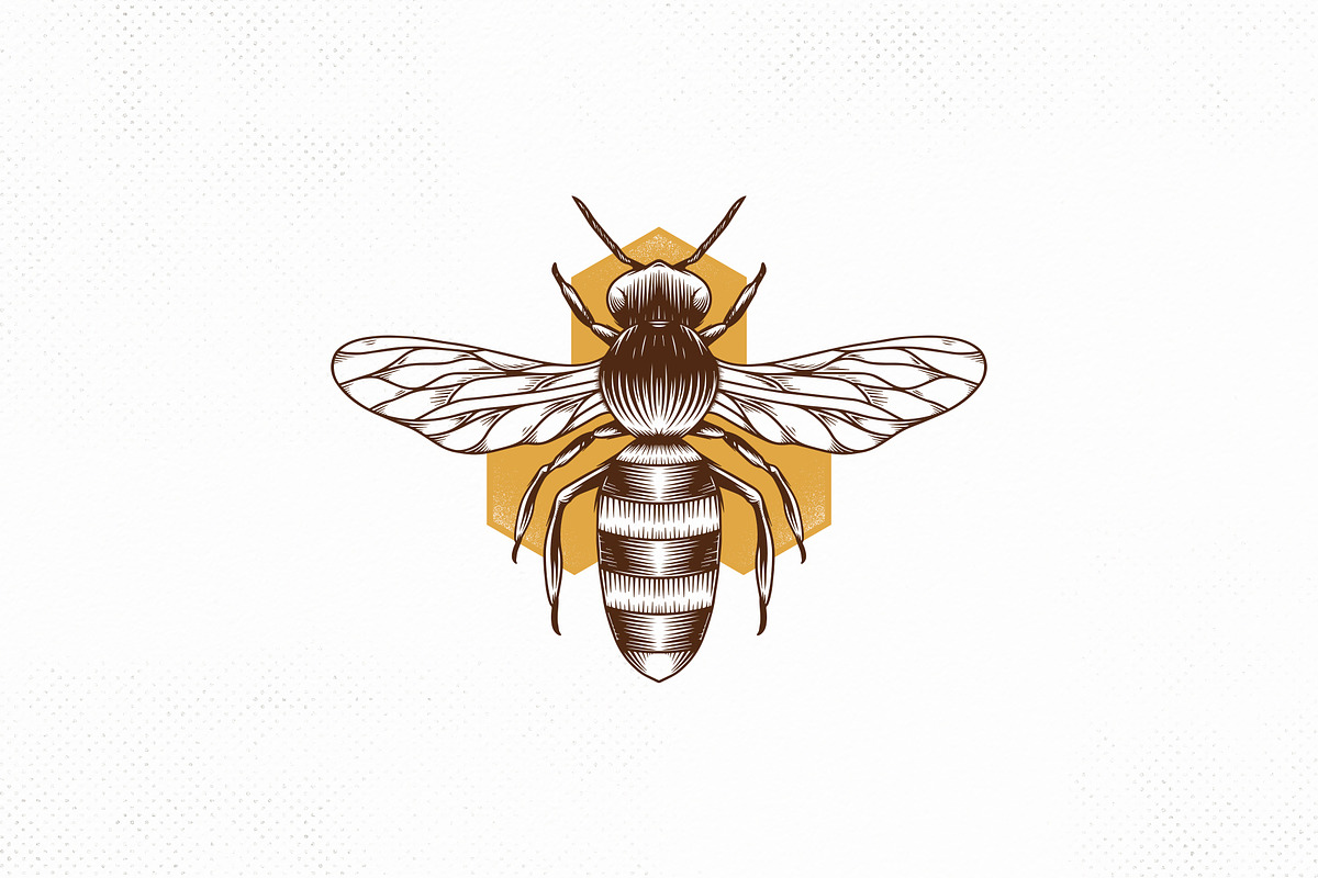 Honey Bee Vintage Vector Logo Design, a Branding & Logo Template by vectorwithin (Photo 2 of 4)