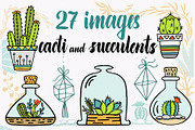 Cacti and succulents design set 140+, an Object Graphic by Live line (Thumbnail 2 of 8)