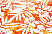 15 Tropical patterns + BONUS, a Pattern Graphic by Art of Sun (Thumbnail 5 of 9)