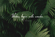 Fern Whisper - classy signature font, a Script Font by CreativeFolks (Thumbnail 8 of 20)