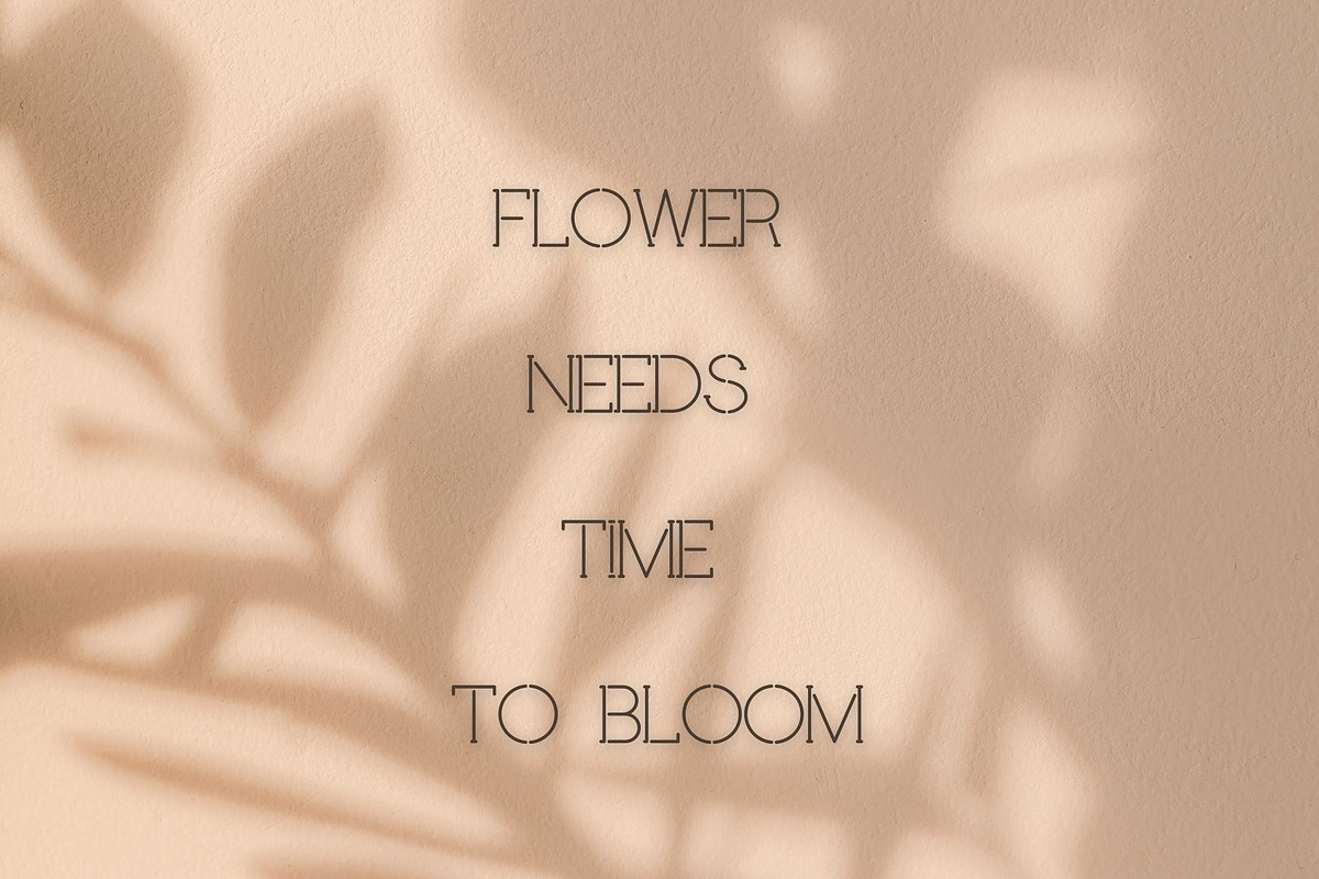 Provender, a Handwritten Font by Aditastudios (Photo 5 of 6)