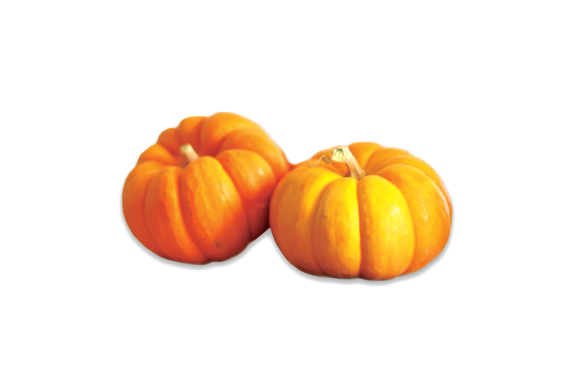 2 Pumpkins, side-view, a Food & Drink Photo by Professional Assets (Photo 2 of 3)