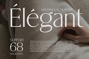 Alisheia//Elegant Serif