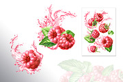 Summer Raspberries. Watercolor set, a Food Illustration by Daria Ustiugova (Thumbnail 17 of 26)