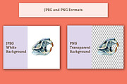 Animal Skulls Watercolor Clip Art, an Animal Illustration by The Curio Cabinet (Thumbnail 3 of 3)