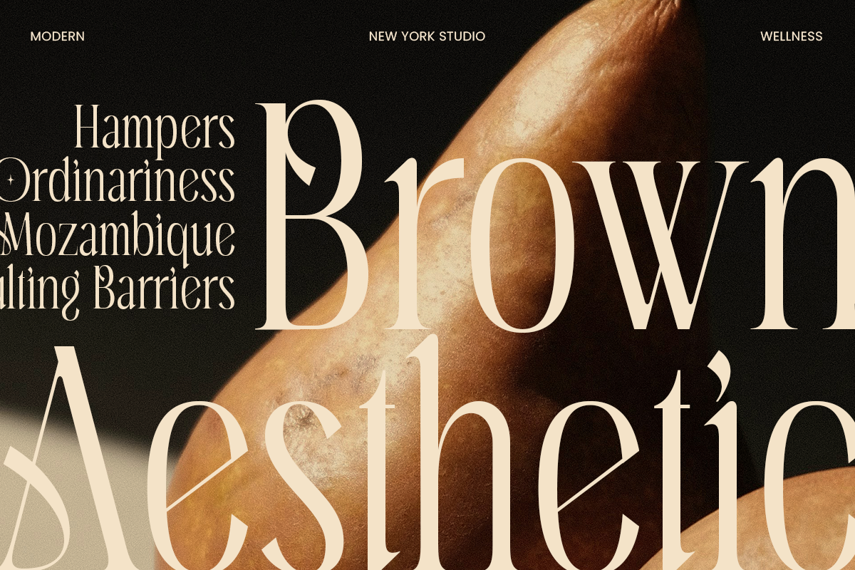 Aqila - Condensed Luxury Font, a Serif Font by Sensatype (Photo 6 of 12)