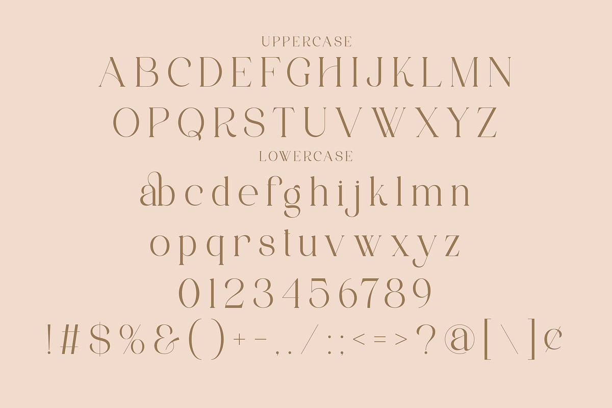 Rovale - Modern Typface Serif, a Serif Font by AnnofaType (Photo 6 of 8)