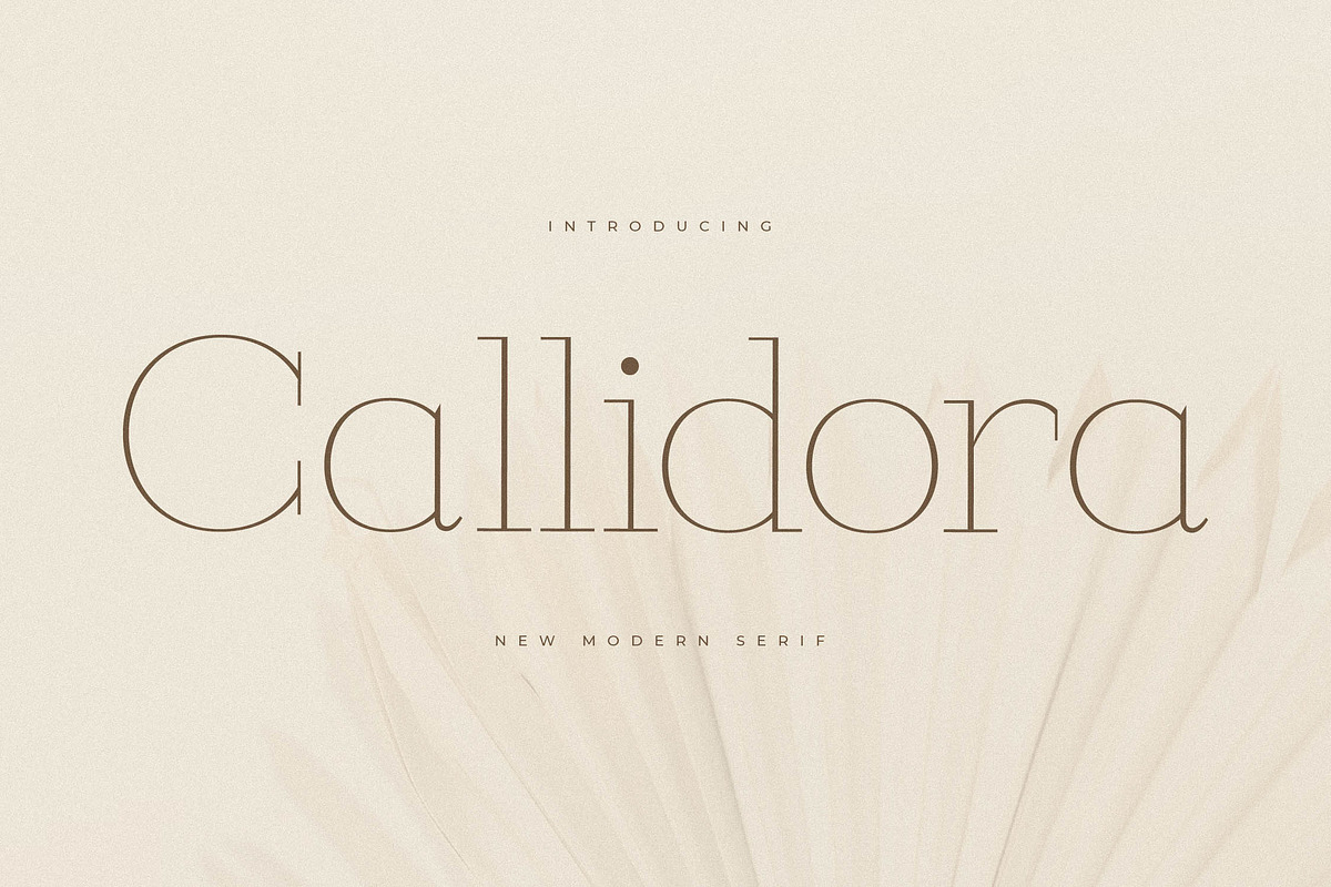 Callidora New Modern Serif, a Serif Font by Storytype Studio (Photo 1 of 15)