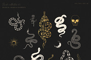 Hand Drawn Celestial Snakes & Sculls, an Animal Illustration by KirillsWorkshop (Thumbnail 9 of 10)