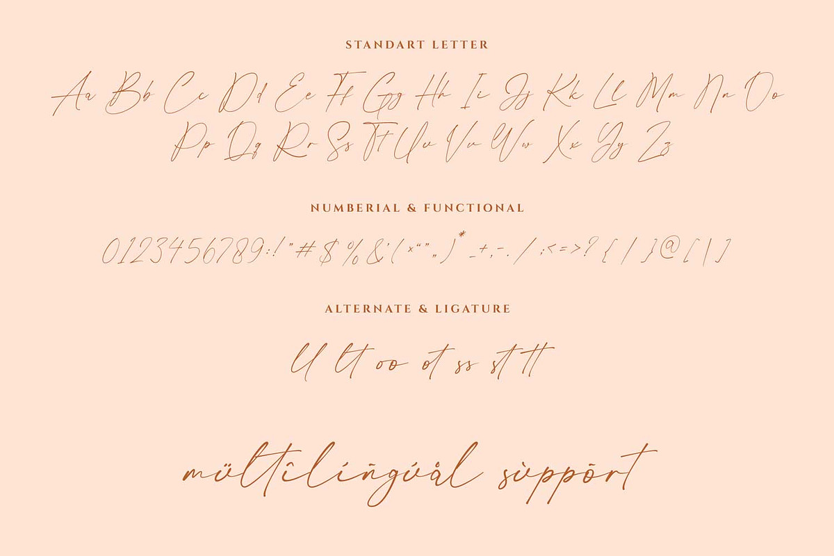 Millionist - Elegant Signature Font, a Font by RantautypeStudio (Photo 10 of 11)