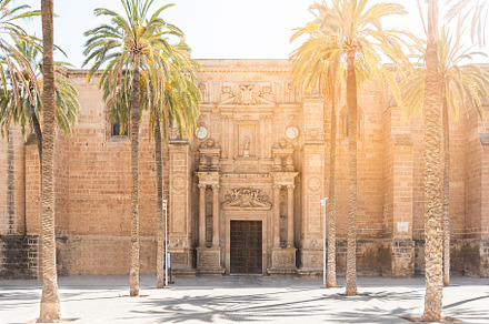 Exterior of old stone cathedral with palms near entrance, a Holiday Photo by Iván Moreno STOCK PHOTO