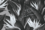 Bird of Paradise patterns, a Pattern Graphic by Bigio Designs (Thumbnail 7 of 7)