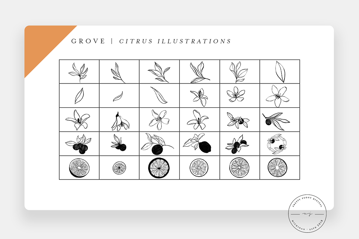 Grove Citrus Procreate Stamps + PNG, a Brush Add-On by SorrDesign (Photo 2 of 8)