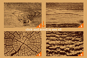 18 Real Wood Vector Textures, a Texture Graphic by Artem Vorotnikov (Thumbnail 2 of 6)