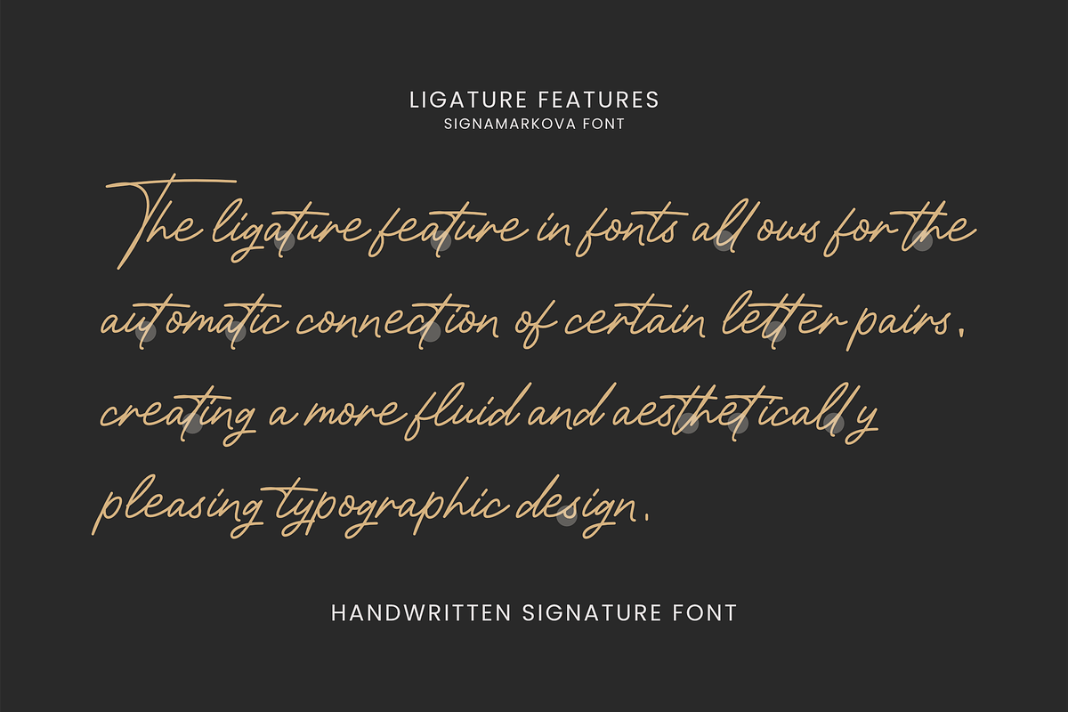 Signamarkova, a Handwritten Font by ahweproject (Photo 12 of 16)