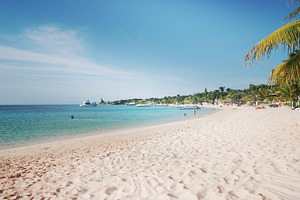 Tropical Island Beach