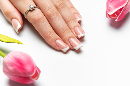 Woman showing french manicure and pink tulips on white backgroun