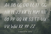 Vingiloth Handwritten Script, a Script Font by Mr.Typeman (Thumbnail 3 of 8)