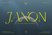 Quarx - Sans & Serif Modern Font Duo, a Sans Serif Font by SilverStag Type Foundry (Thumbnail 8 of 18)