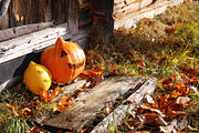 15 Rustic Autumn Stock Photos, a Holiday Photo by pictures for you (Thumbnail 7 of 14)