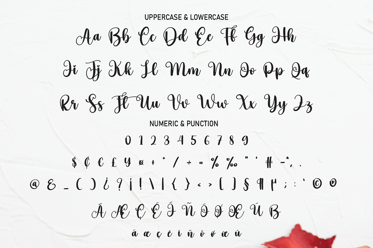 Fall | Script Font, a Script Font by Scratchones (Photo 2 of 8)