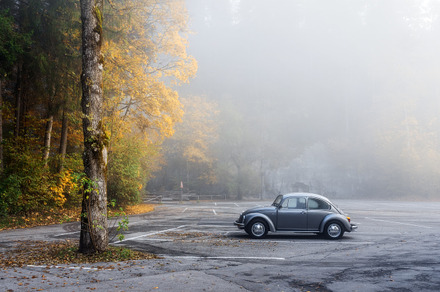 Autumn morning in the park Web