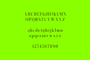 Replica - Elegant & Modern Serif, a Serif Font by subkulturetype (Thumbnail 10 of 11)