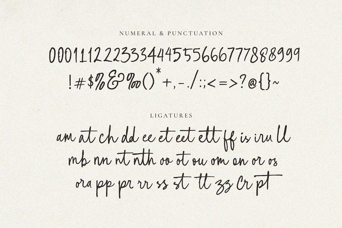 Rough Scribble Script, a Script Font by Ef Studio (Photo 15 of 15)