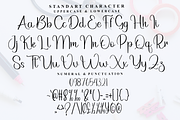 Brother Signature, a Handwritten Font by FreshTypeINK (Thumbnail 6 of 8)