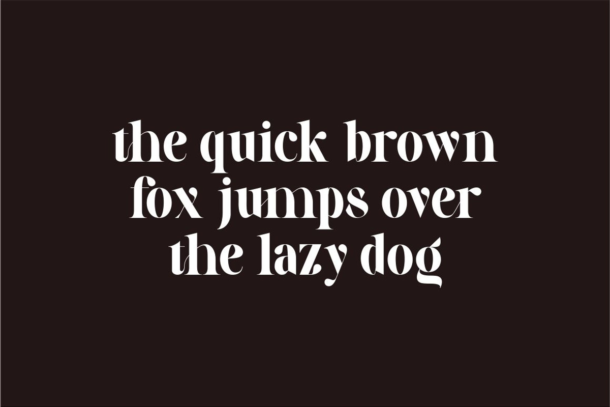 Galery - Elegant Modern Typeface, a Serif Font by suhadidesign (Photo 6 of 15)