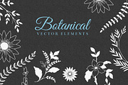 Floral Decorative Elements, a Decorative Illustration by Solana (Thumbnail 3 of 3)