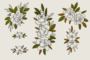 Flower Set “Yellow mood”, an Illustration by Maria Summer (Thumbnail 8 of 9)