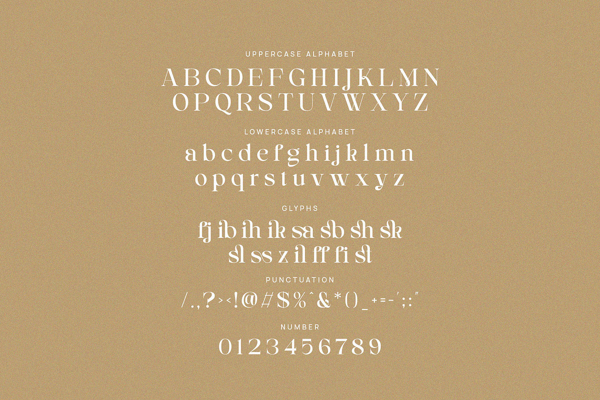 Rilashi - Elegant Serif Font, a Serif Font by TypeLogue (Photo 5 of 5)