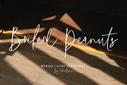 Boiled Peanuts - Casual Signature, a Font by tebaltipislab (Thumbnail 1 of 10)