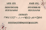 Carpe Diem - Brush Font, a Sans Serif Font by Anna Ivanir (Thumbnail 7 of 8)